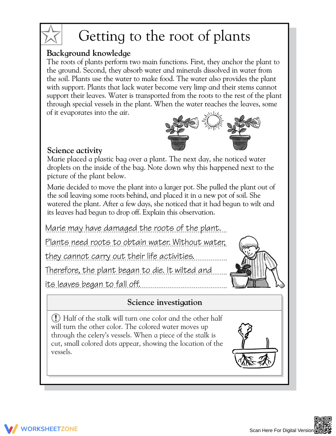 Essential Grade 5 Plant Roots Science Worksheet | Ready - Page 2