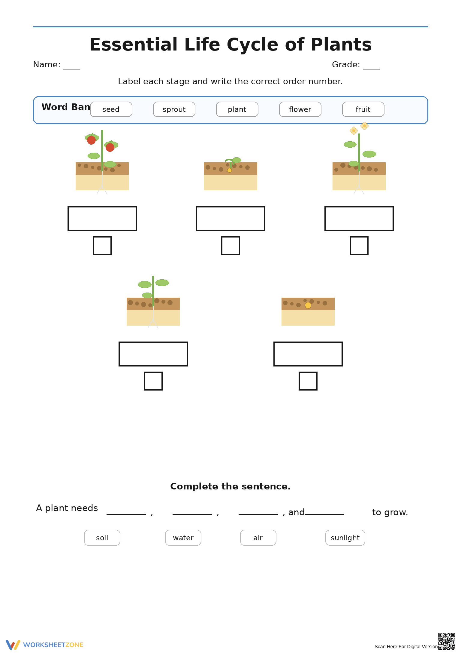 Essential Plant Life Cycle Worksheet | Grade 2 Science - Page 2