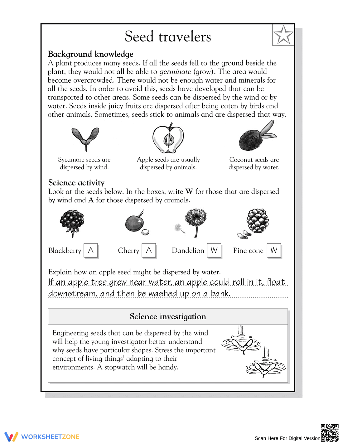 Grade 5 Seed Dispersal — Essential No-Prep Science Worksheet - Page 2