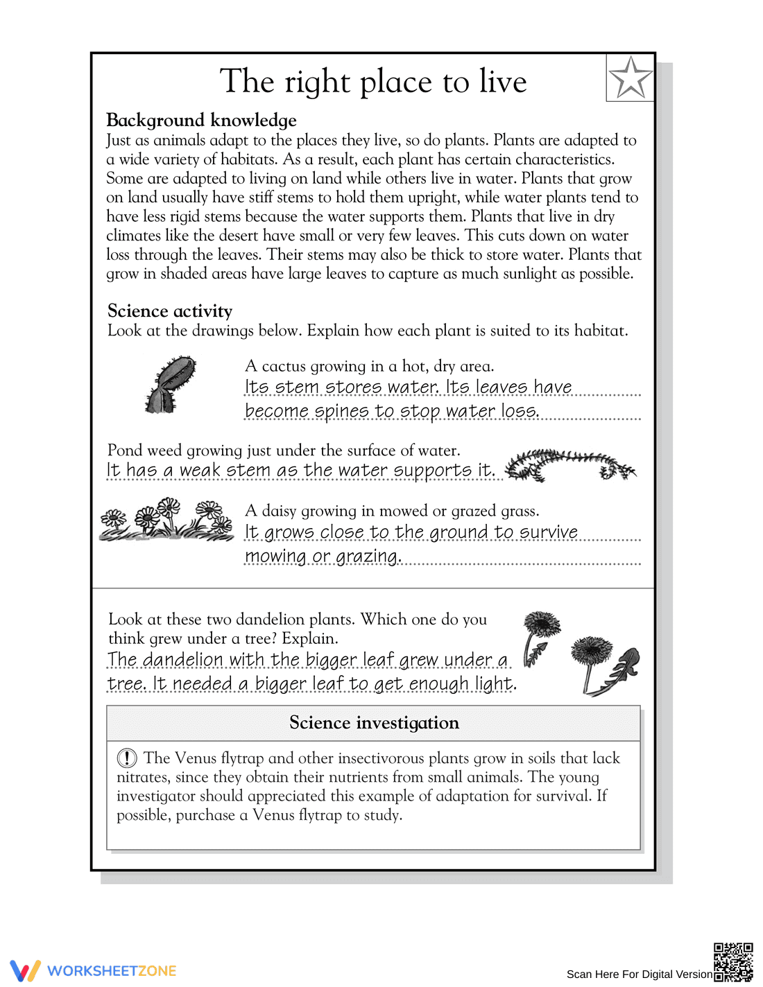 Printable Plant Adaptations Worksheet | Grade 5 Science - Page 2