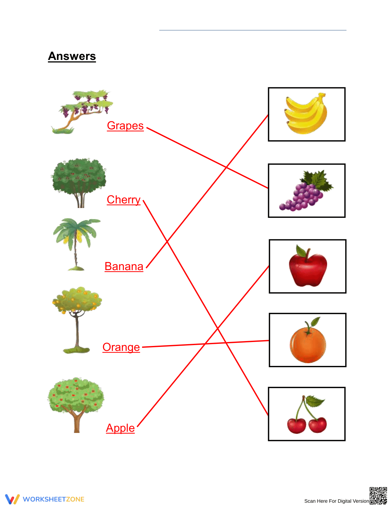Grade 2 Trees and Fruits — Printable No-Prep Worksheet - Page 2