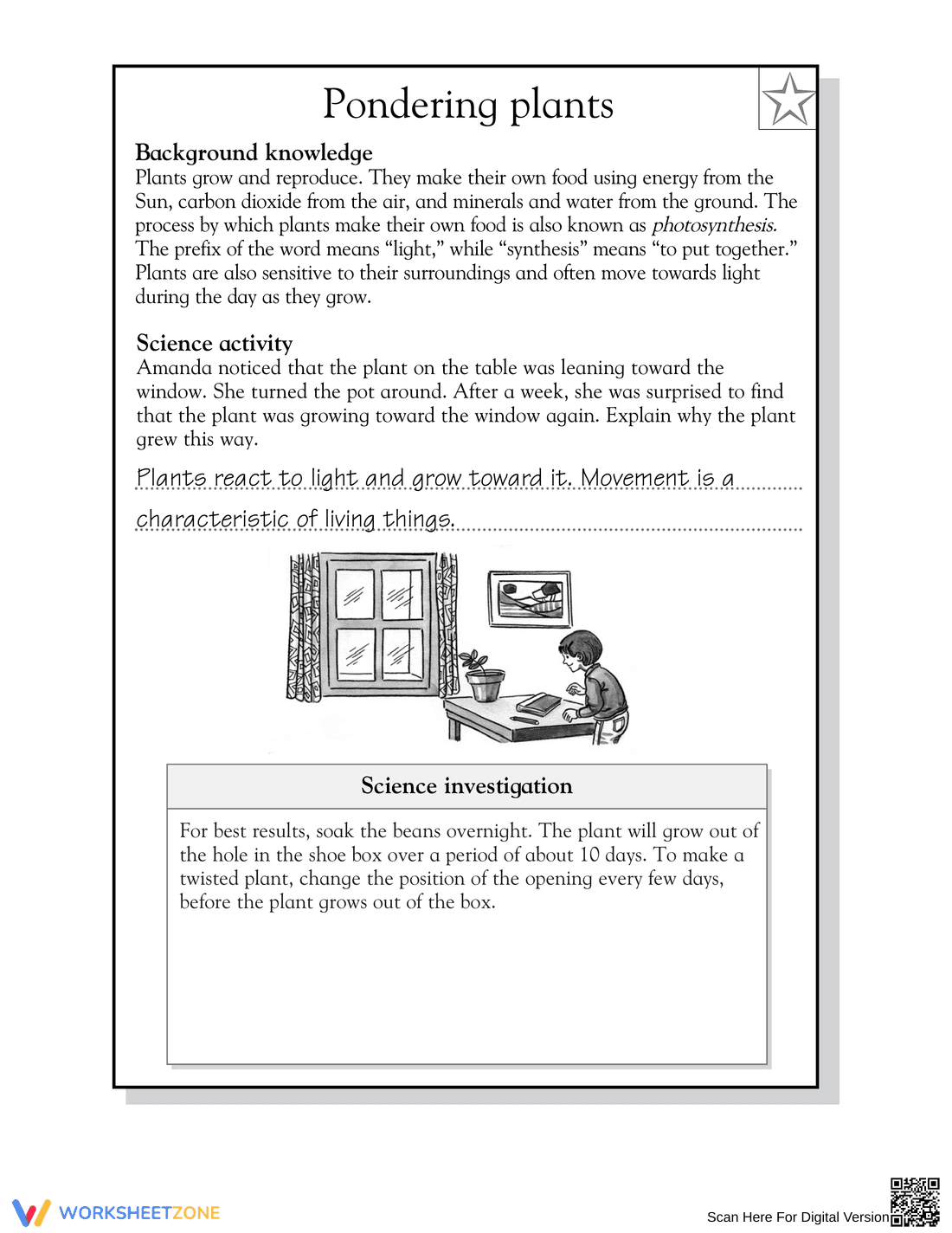 Essential Grade 5 Plant Growth & Photosynthesis Worksheet - Page 2