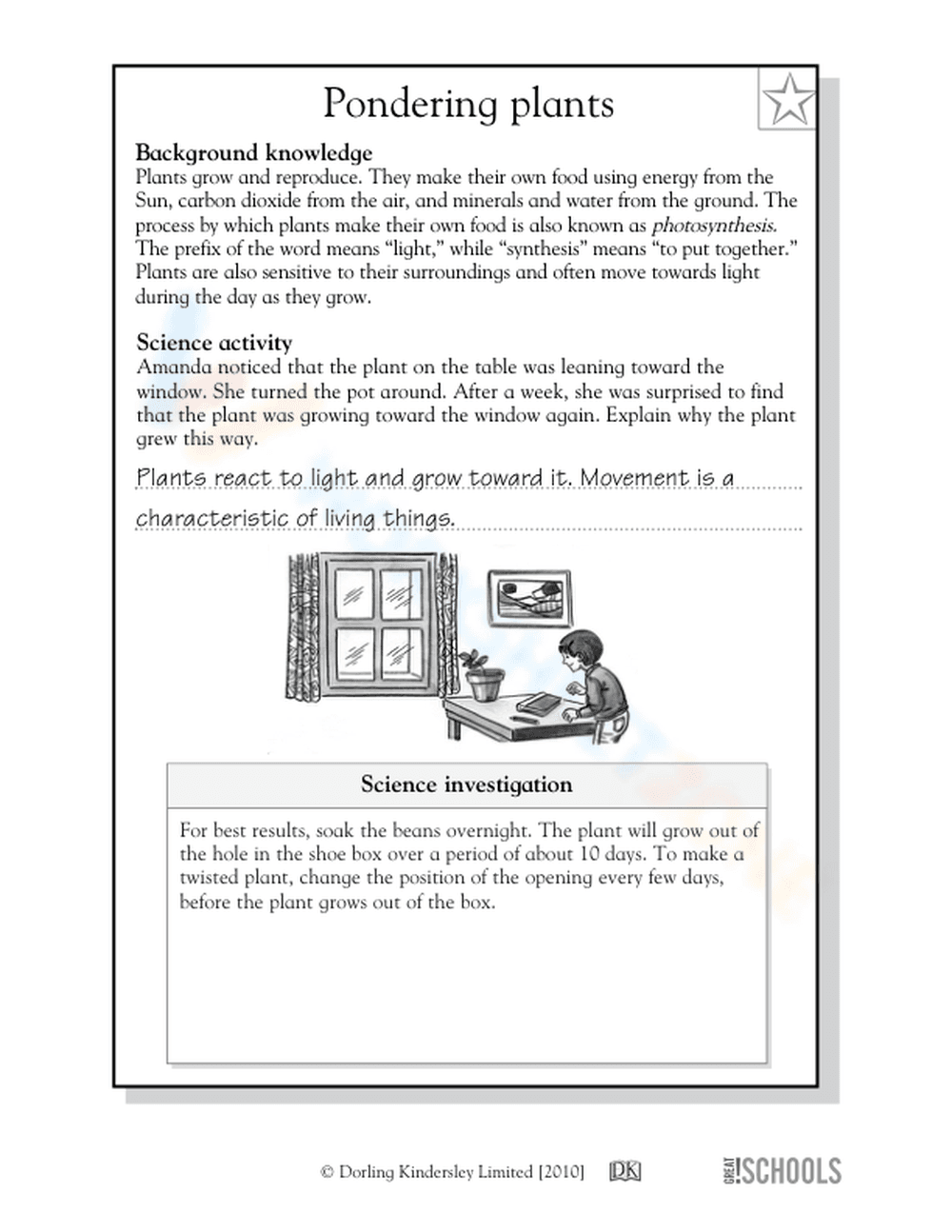 Essential Grade 5 Plant Growth & Photosynthesis Worksheet - Page 2