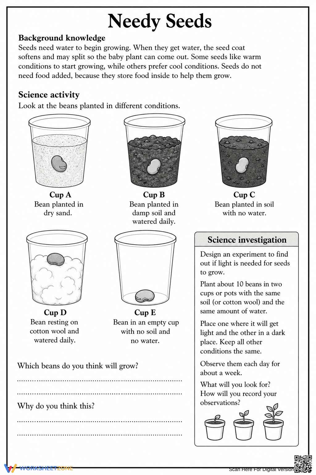 Essential Needy Seeds Worksheet | Grade 3-4 Science - Page 2