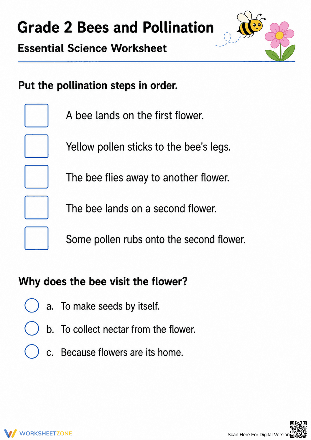 Bees and Pollination Worksheet | Essential Grade 2 Science - Page 2