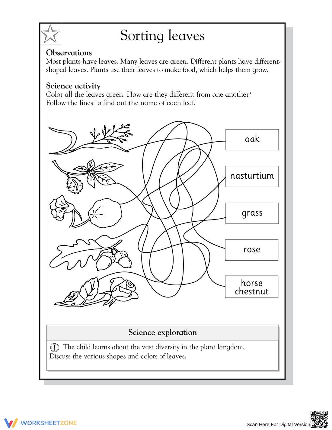 Printable Sorting Leaves Worksheet for Grade 1-2 Science - Page 2