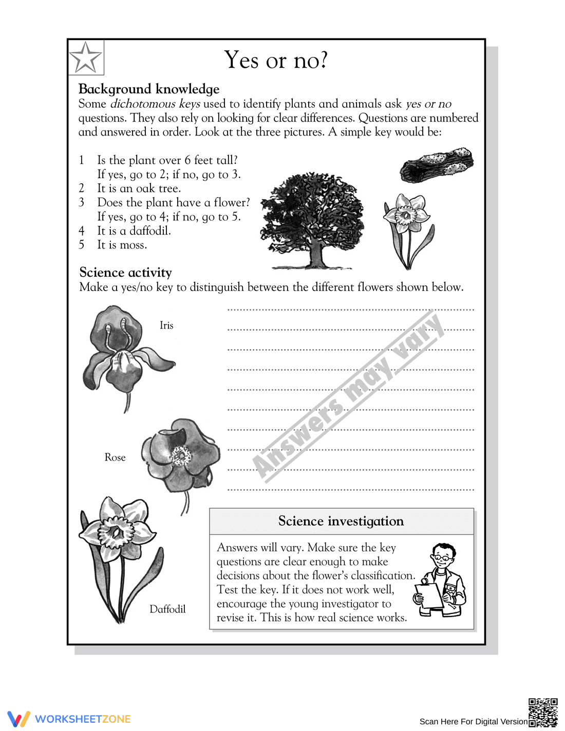 Printable Dichotomous Key Worksheet | Grade 5 Science - Page 2
