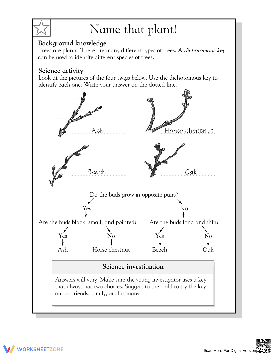 Essential Grade 5 Dichotomous Key: Name That Plant! - Page 2
