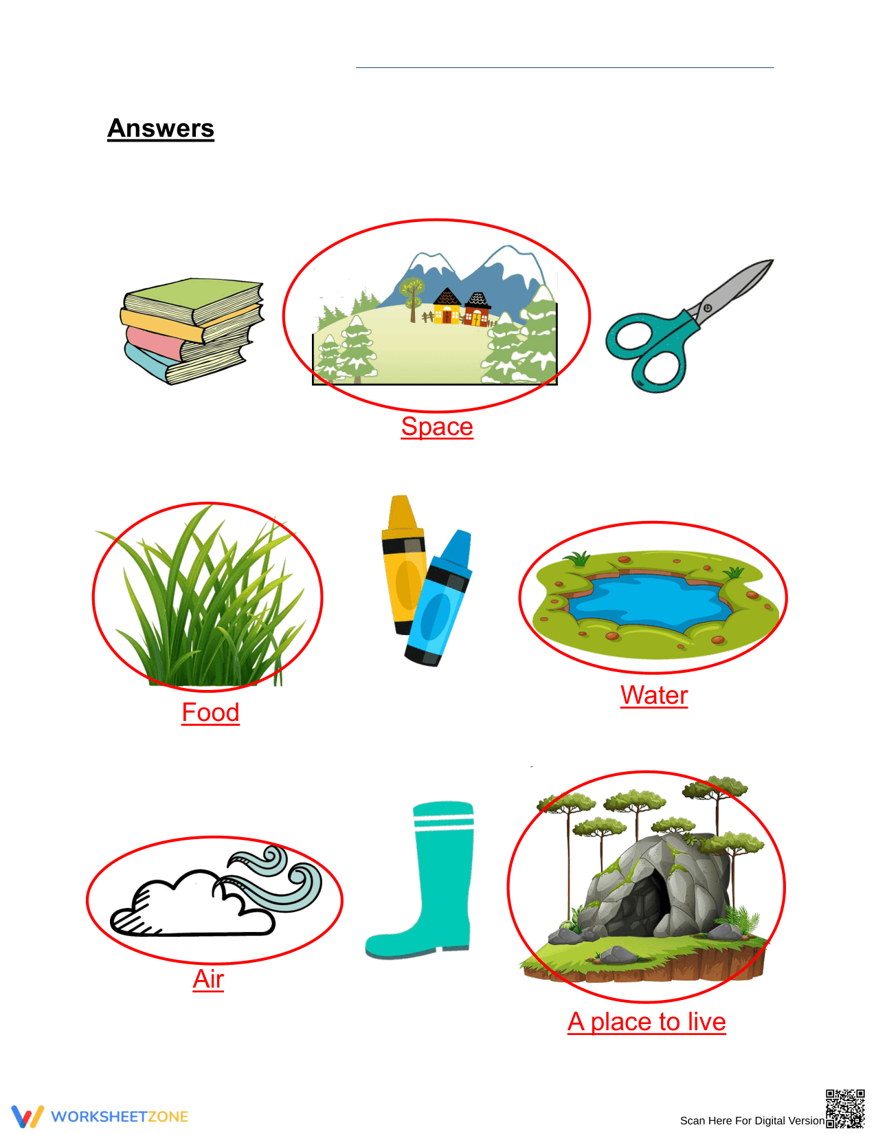Grade 1 Animal Needs — Printable No-Prep Worksheet - Page 2
