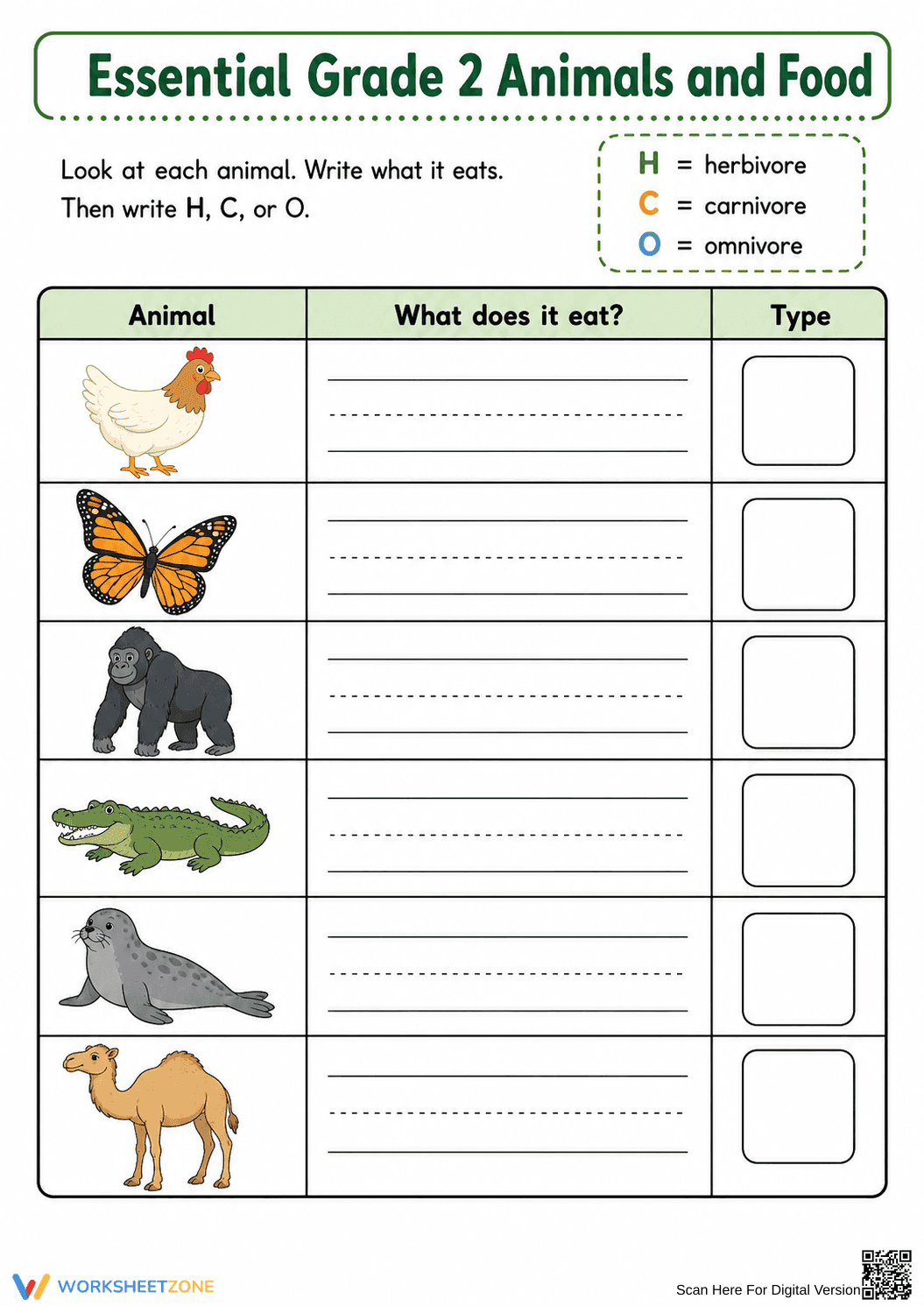 Essential Grade 2 Animals and Food Printable Worksheet - Page 2