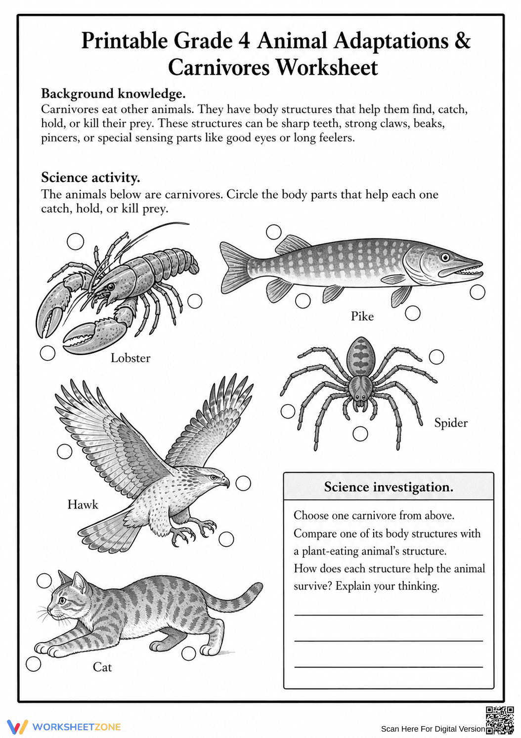 Animal Adaptations Printable Worksheet | Grade 4 Science - Page 2