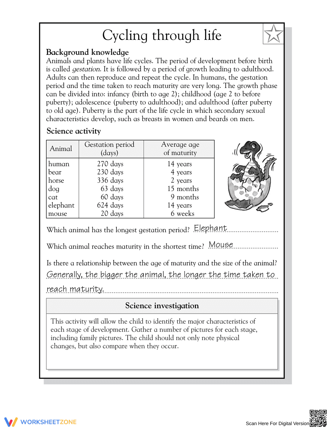 Essential Grade 5 Science: Cycling through Life Worksheet - Page 2