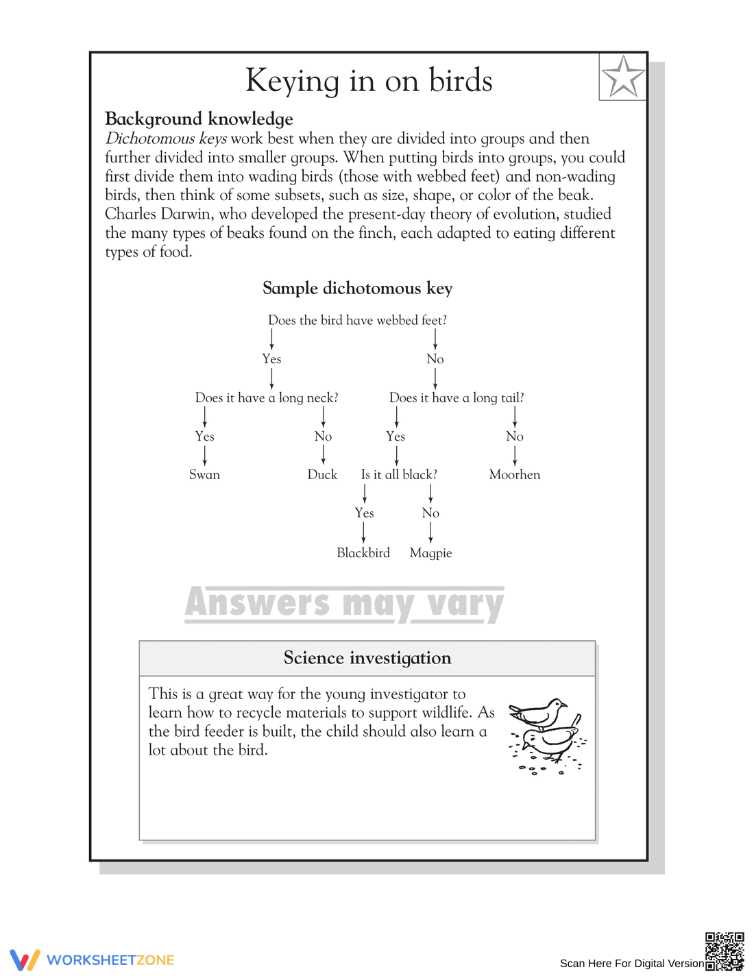 Essential Grade 5 Bird Dichotomous Key Printable Worksheet - Page 2