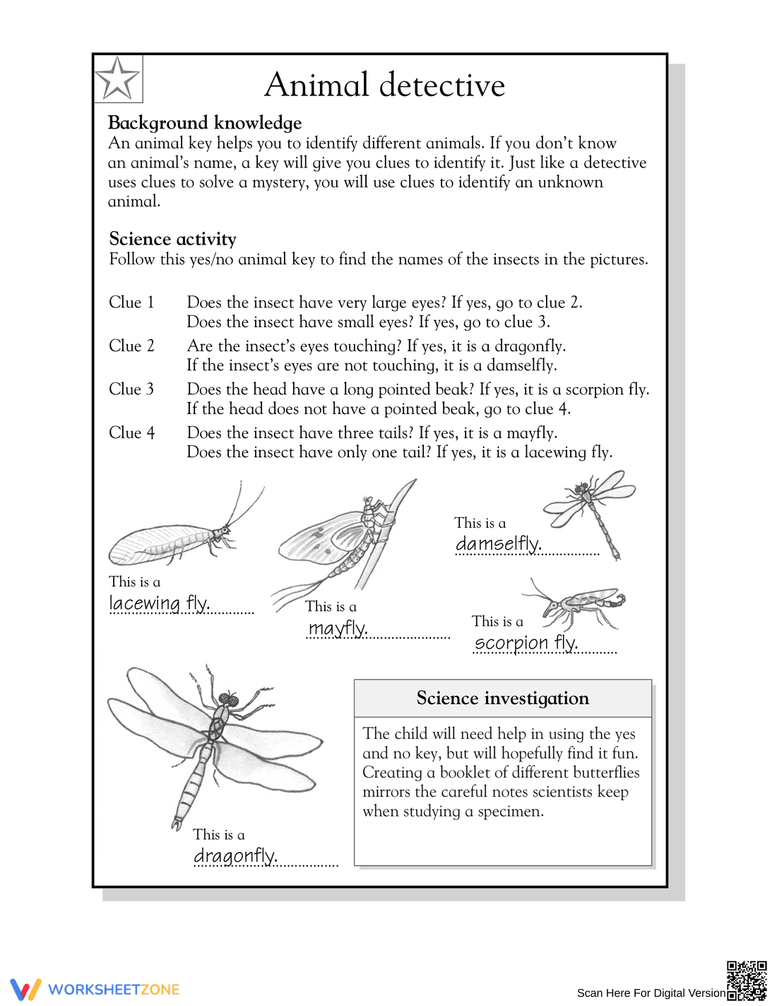 Printable Insect Dichotomous Key Worksheet | Grade 3 Science - Page 2