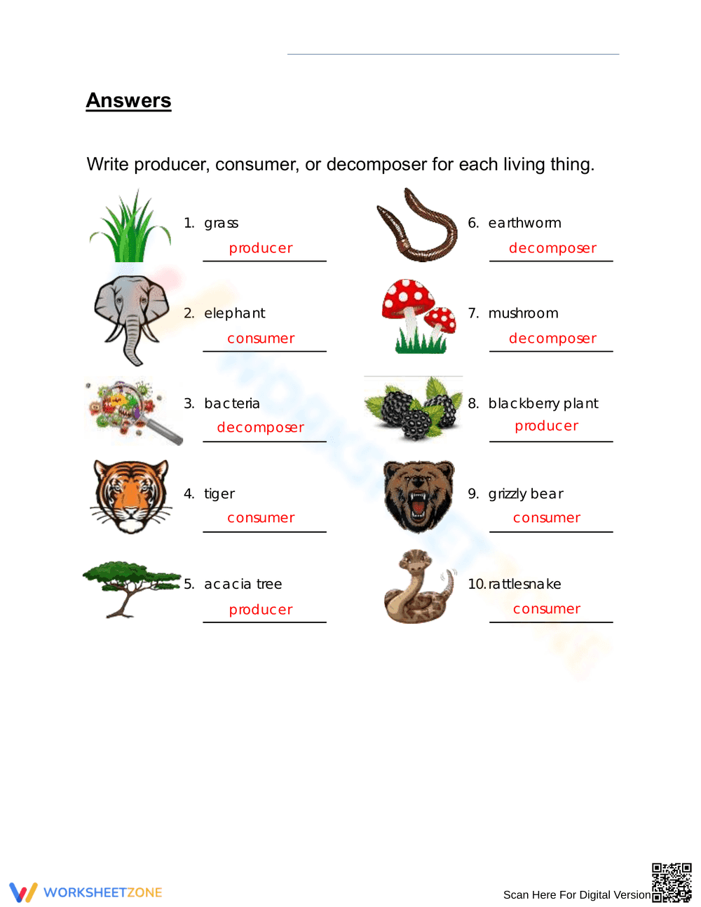 Identifying Producers Consumers and Decomposers - Page 2