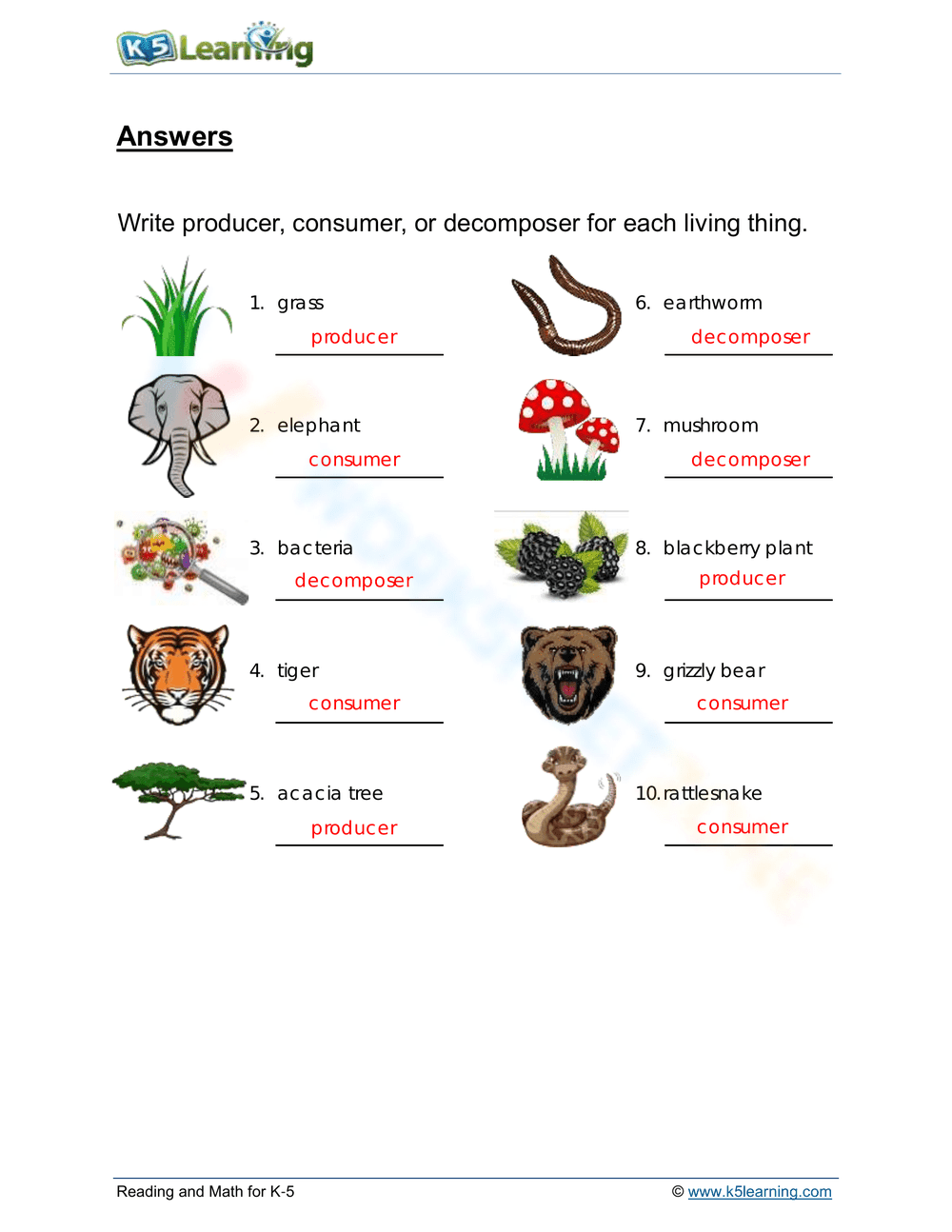 Identifying Producers Consumers and Decomposers - Page 2