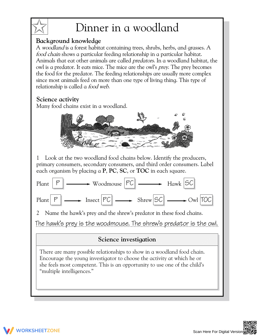 Essential Woodland Food Chains Worksheet | Grade 5 Science - Page 2