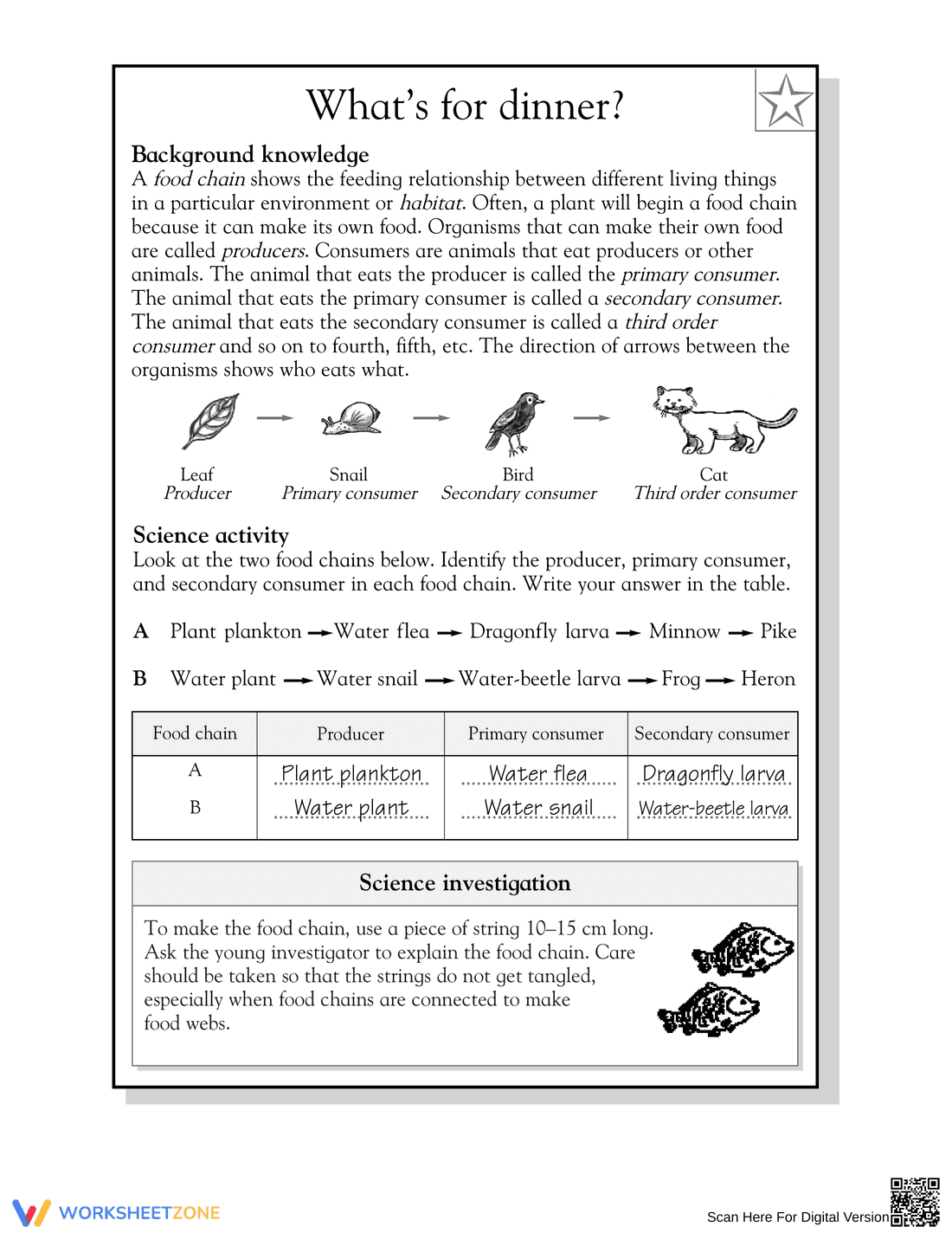 Essential Grade 5 Food Chain Worksheet | Science Aligned - Page 2