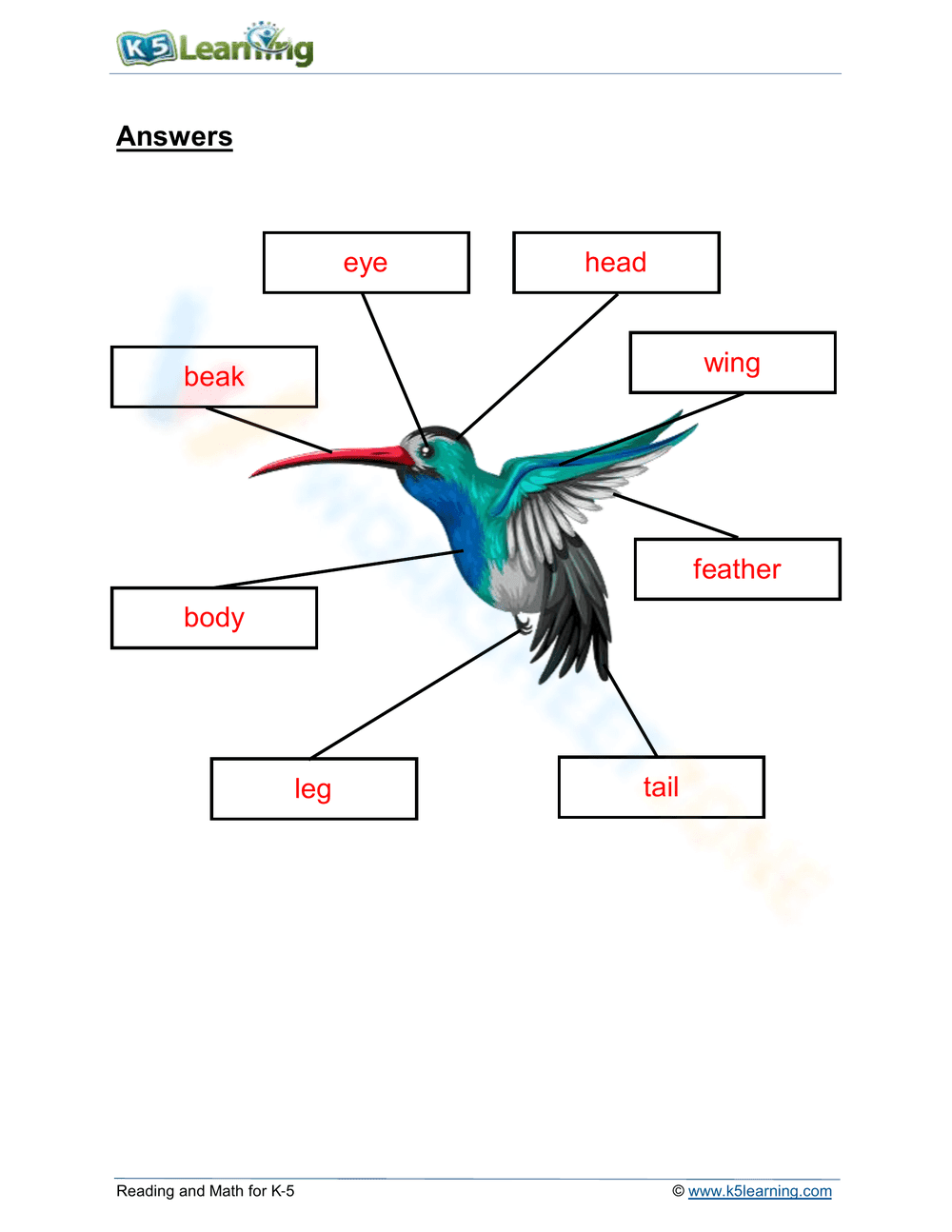 Bird Body Parts Labeling Worksheet for Grade 2 - Page 2