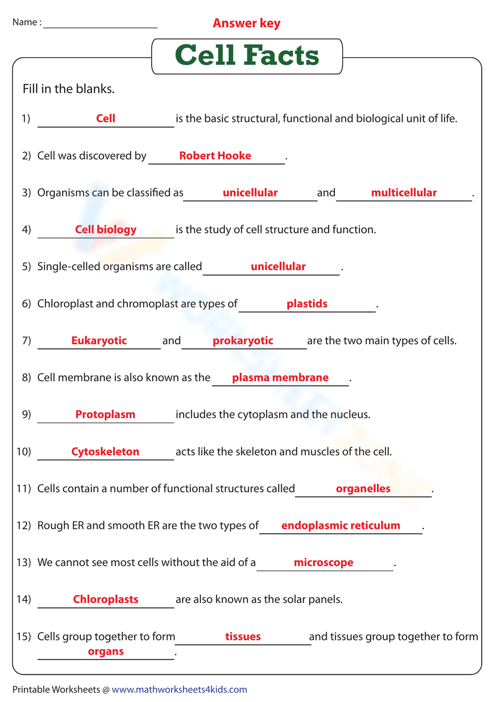 Essential Cell Facts Worksheet | Grade 7-8 Biology - Page 2