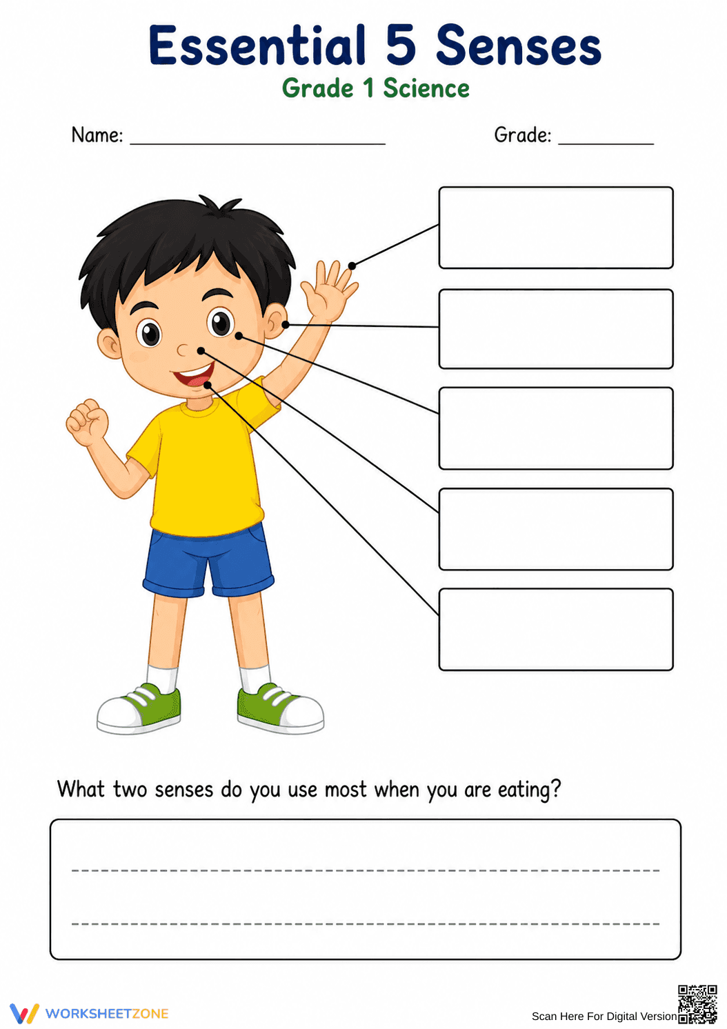Essential 5 Senses Worksheet | Grade 1 Science - Page 2
