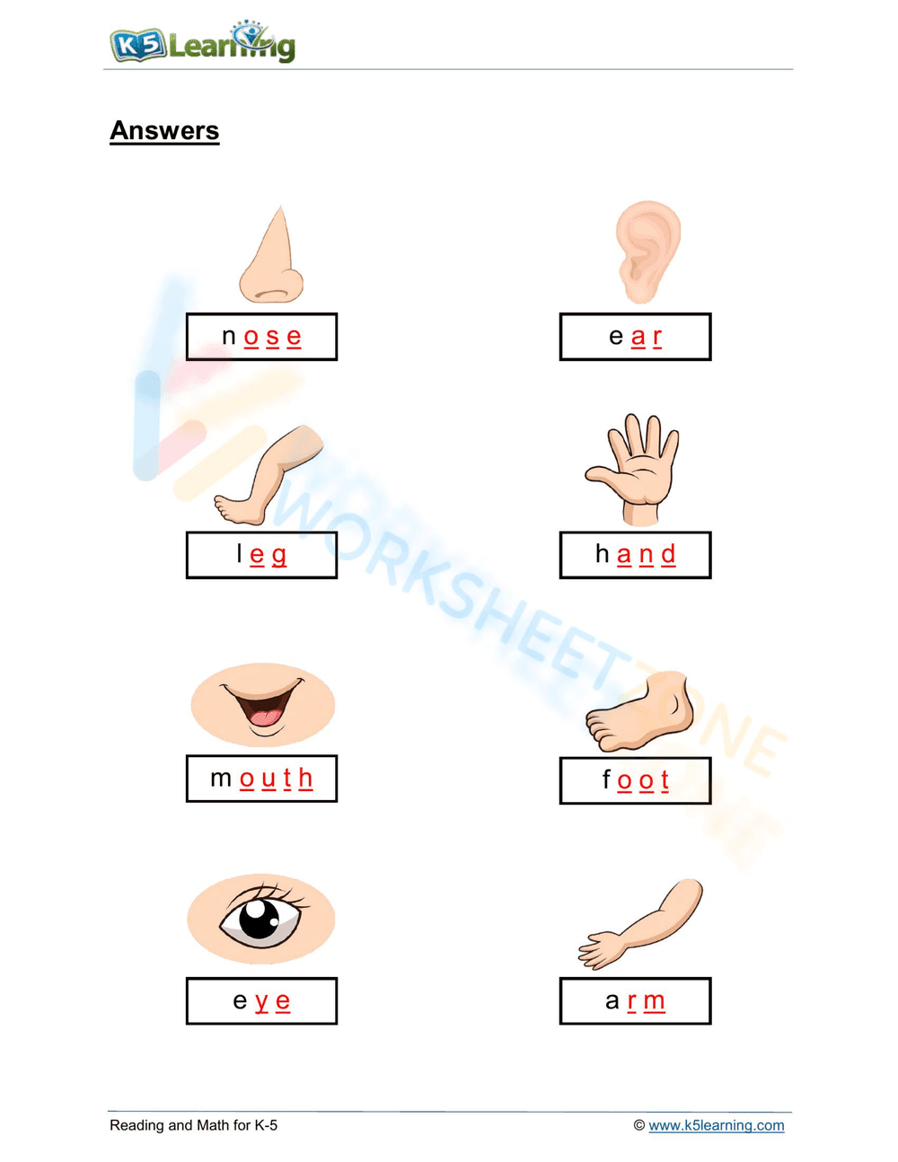 Essential Body Parts Worksheet | Grade 1 Science - Page 2