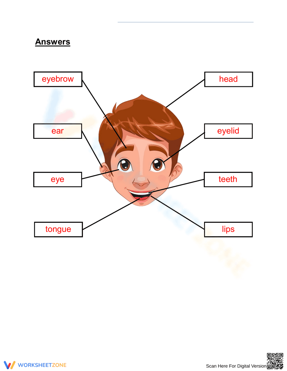Grade 1 Parts of the Face — Printable No-Prep Worksheet - Page 2