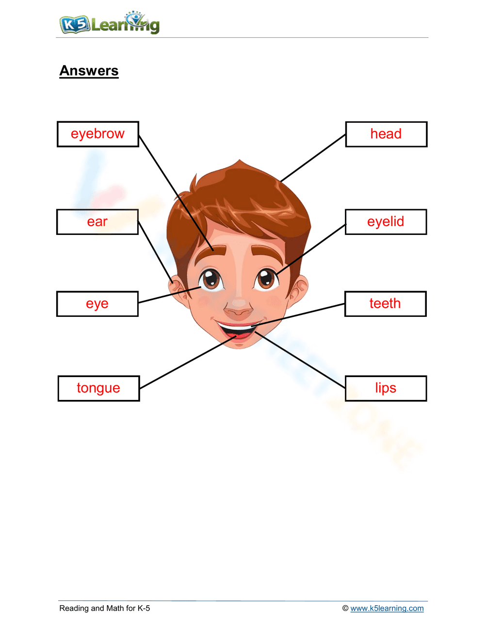 Grade 1 Parts of the Face — Printable No-Prep Worksheet - Page 2
