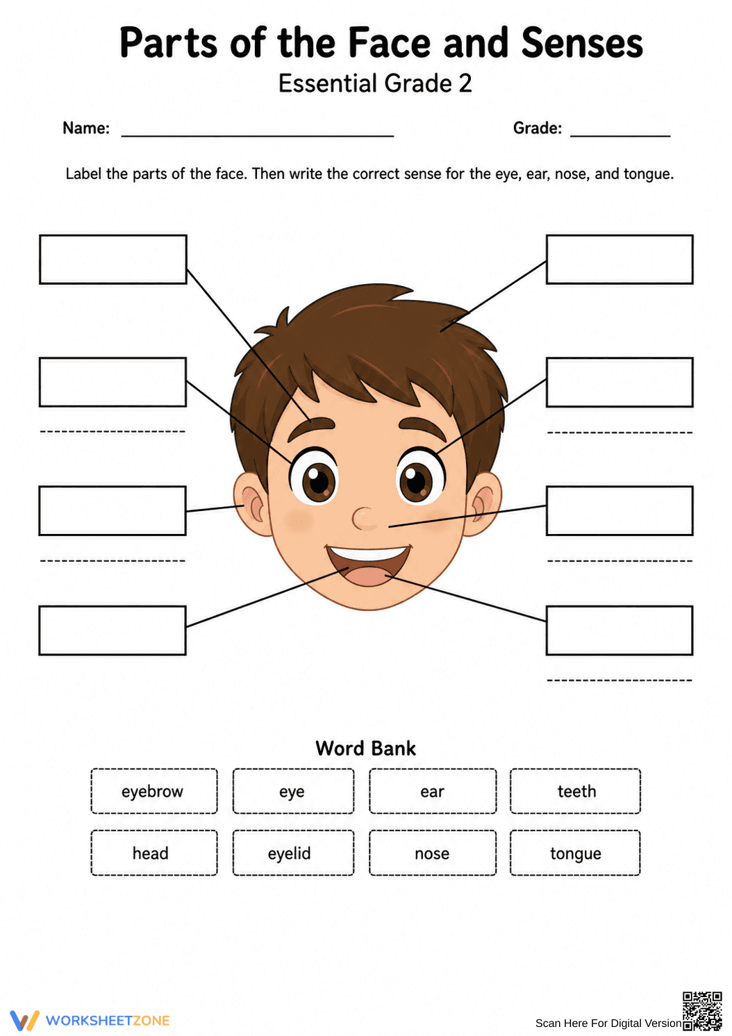 Grade 2 Face and Senses — Printable No-Prep Worksheet - Page 2