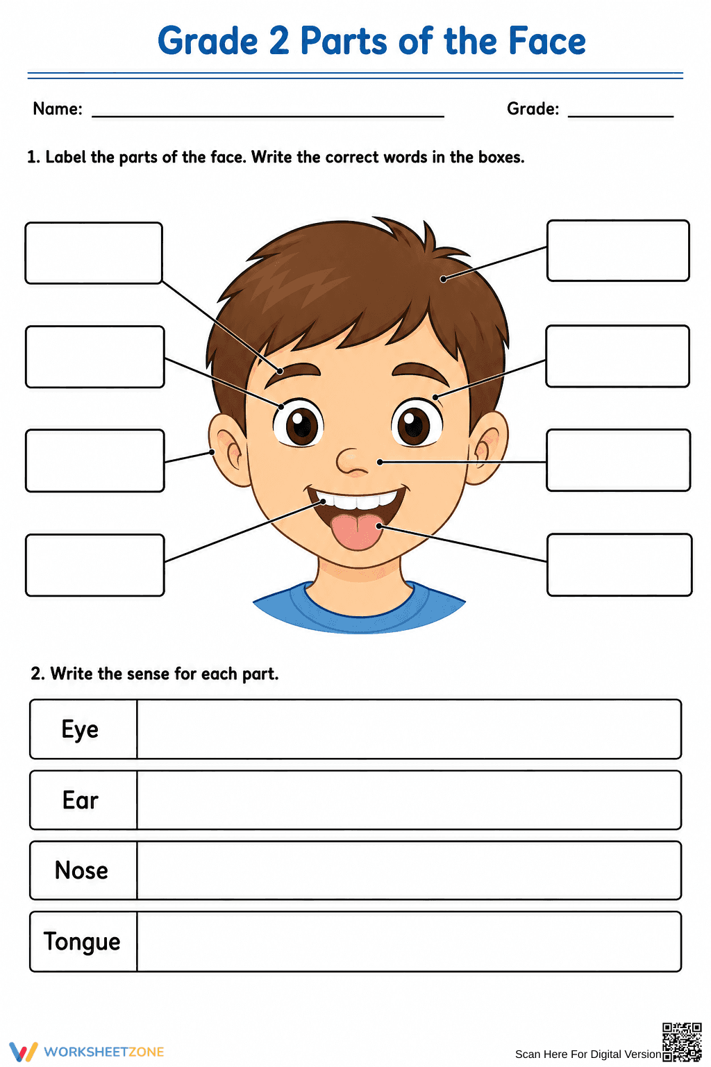 Essential Grade 2 Parts of the Face & Senses Worksheet - Page 2