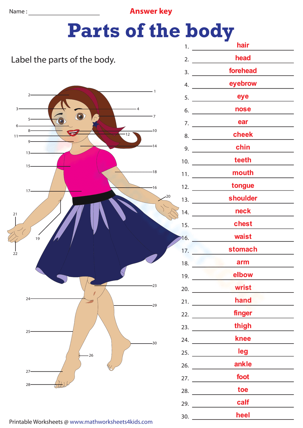 Grade 2 Body Parts — Essential No-Prep Worksheet - Page 2
