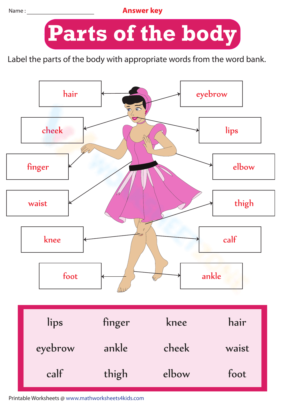 Essential Grade 2 Body Parts Labeling | Printable PDF - Page 2
