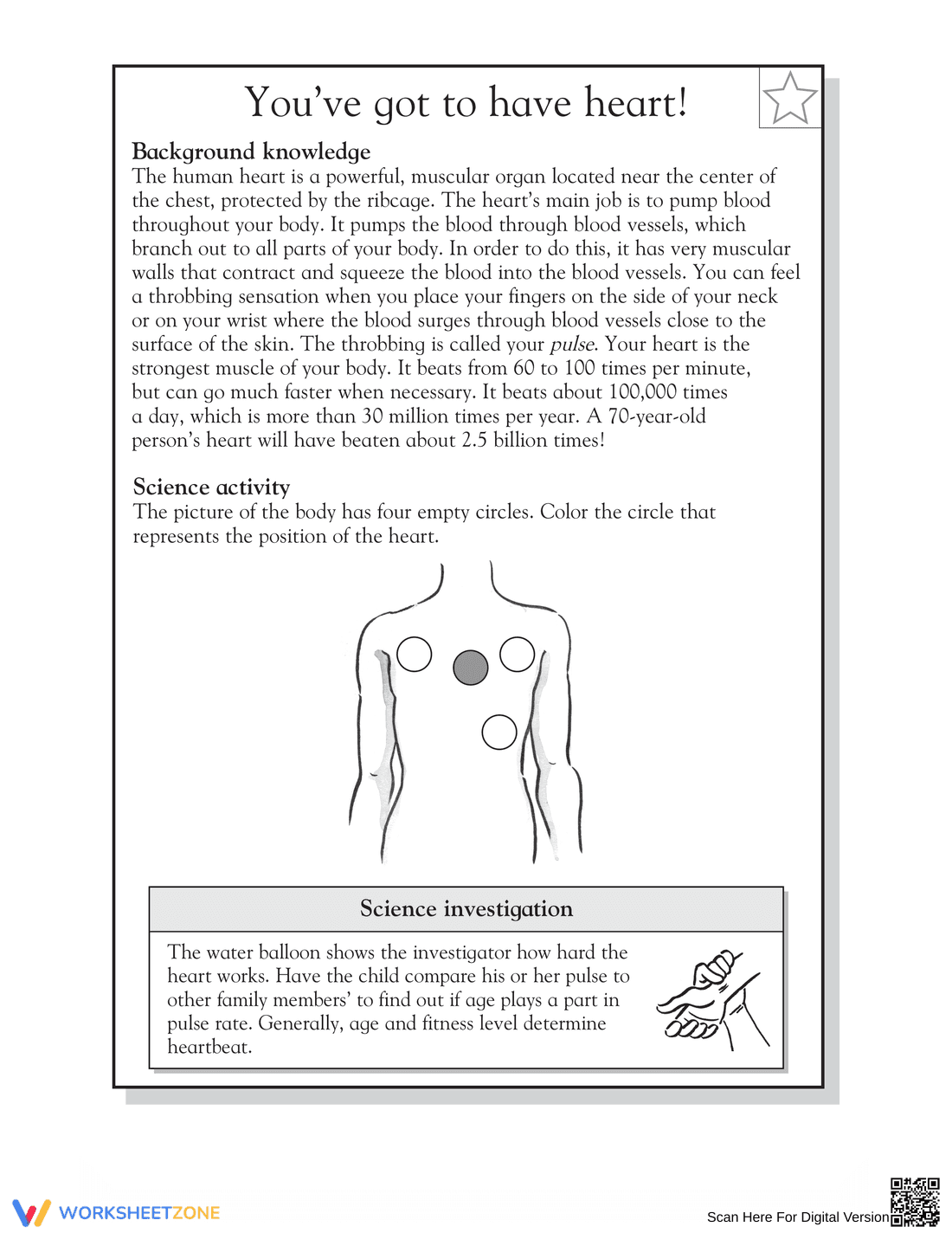 Essential Human Heart Worksheet | Grade 5 Science - Page 2