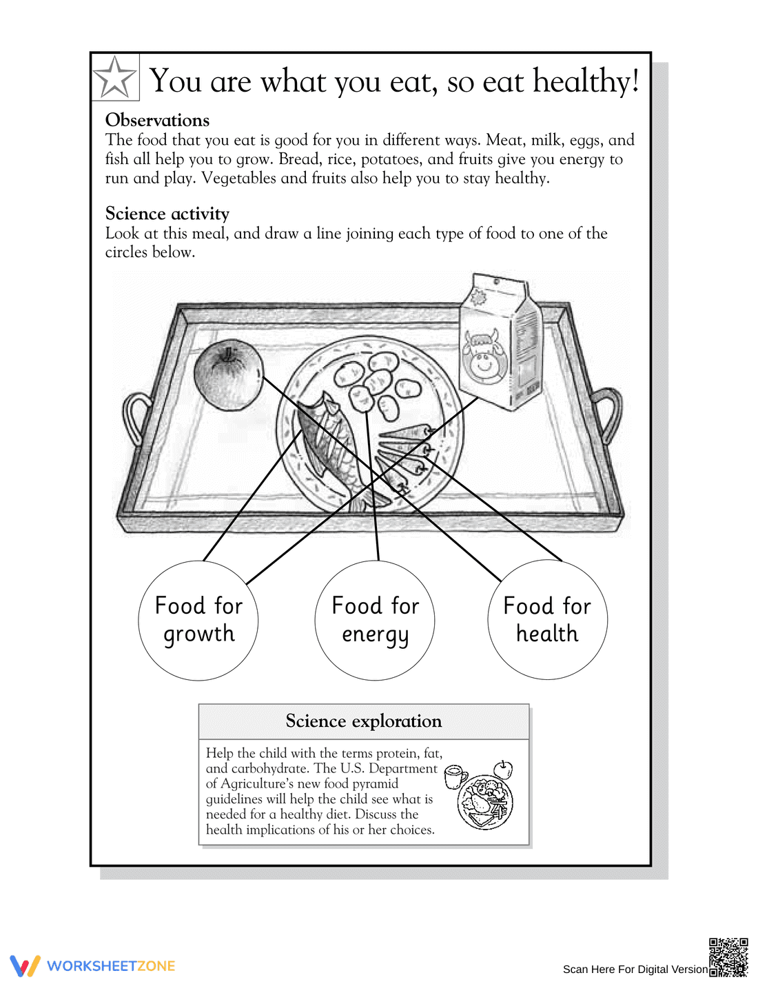 Essential Grade 1 Science: Healthy Eating Worksheet - Page 2