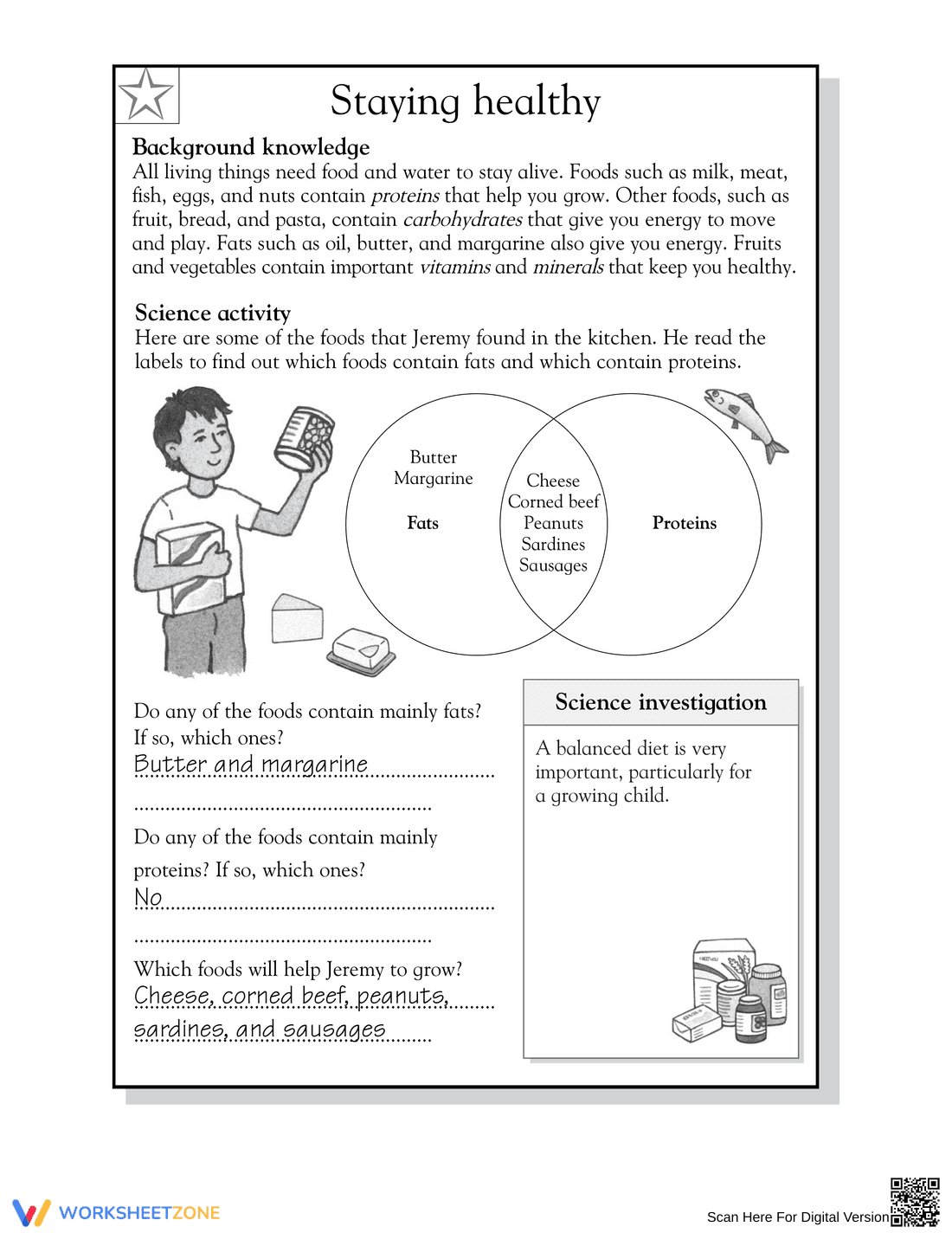 Essential Staying Healthy Worksheet | Grade 3-4 Science - Page 2