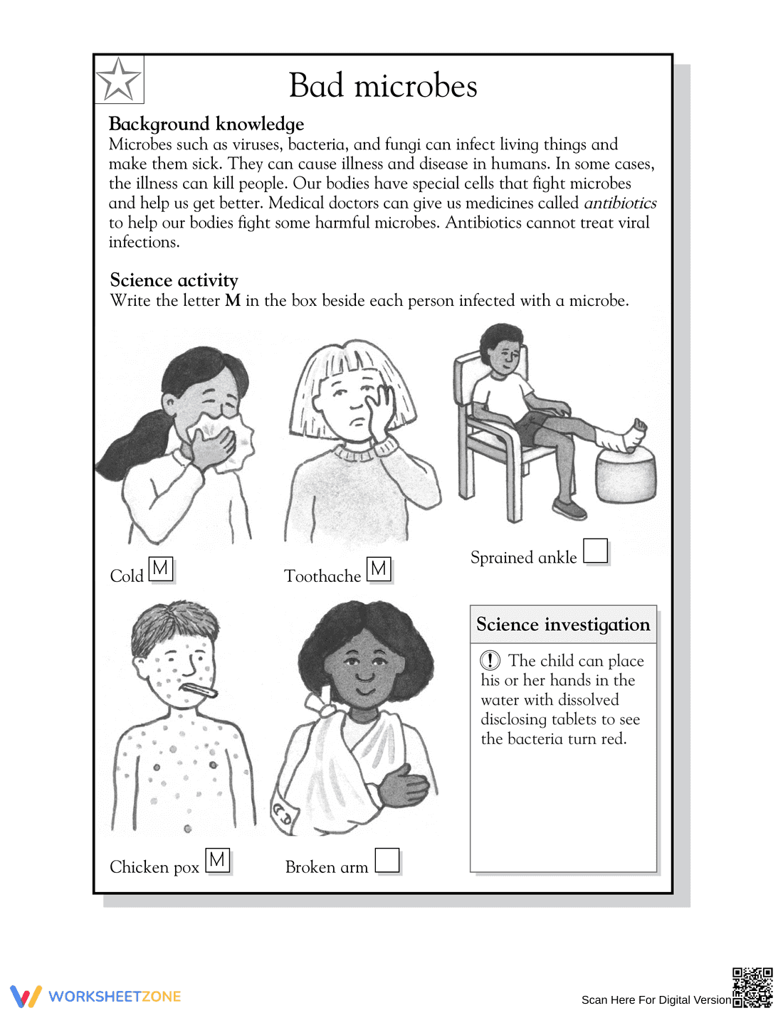 Essential Bad Microbes Worksheet | Grade 3 Science Aligned - Page 2