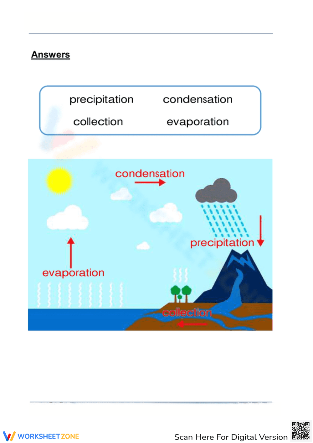 Essential Water Cycle Labeling Worksheet | Grade 2-3 Science - Page 2