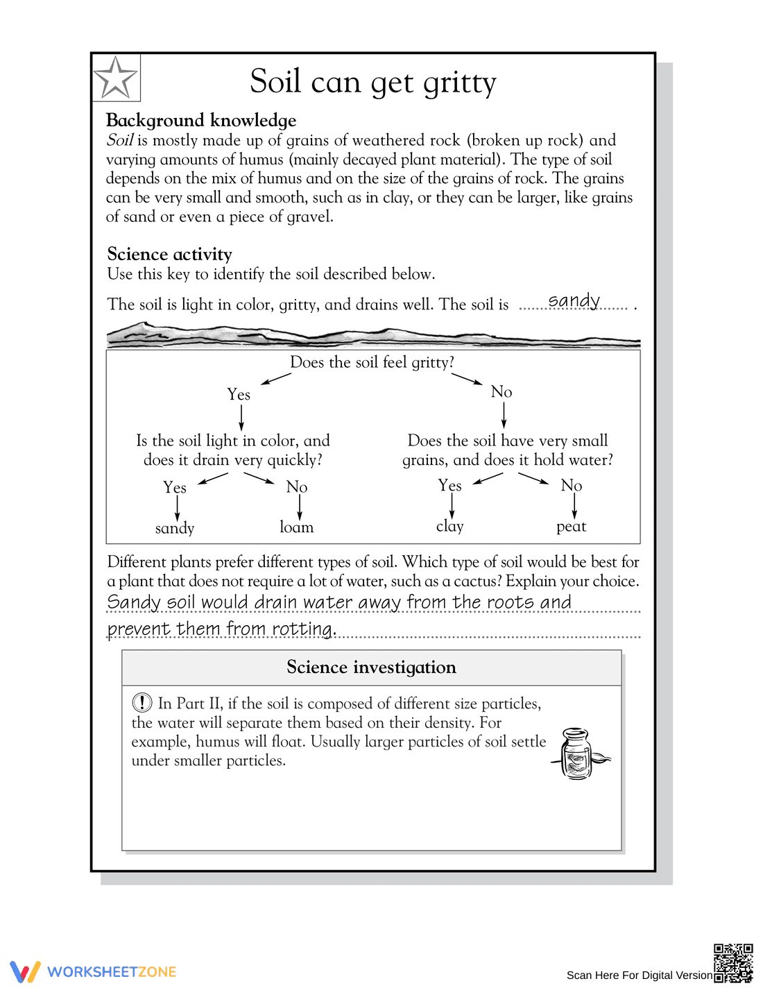 Essential Soil Types Science Worksheet | Grade 5 Aligned - Page 2