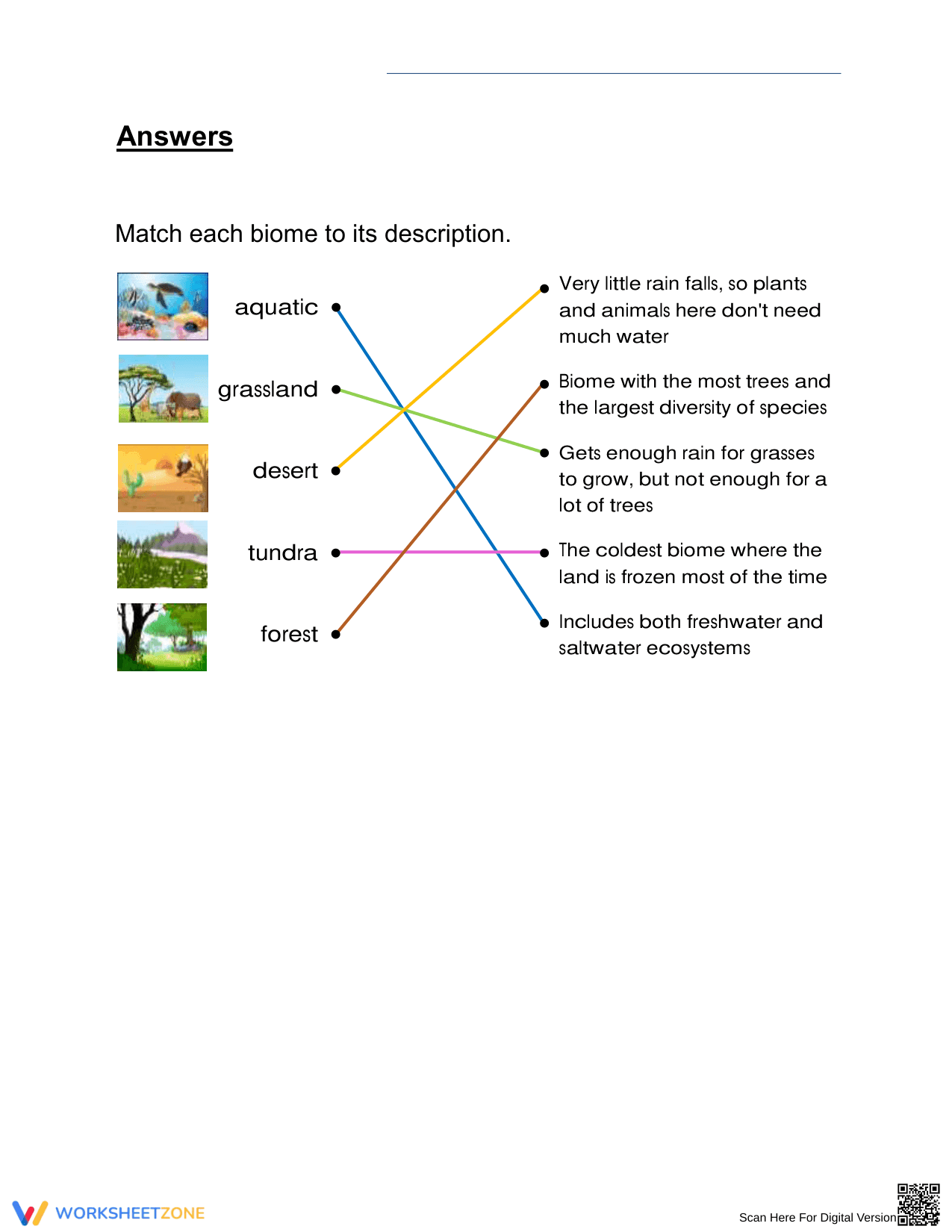 Printable Biomes Worksheet | Grade 3 Science Ready - Page 2