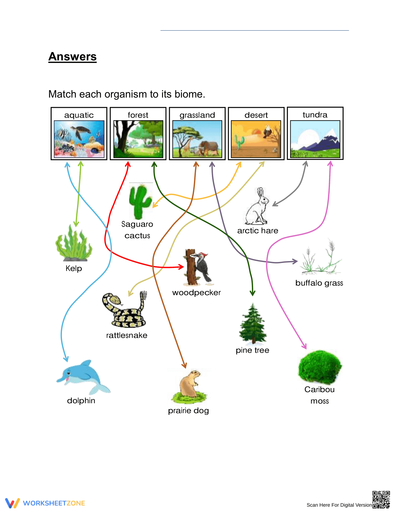 Essential Earth's Biomes Worksheet | Grade 3 Printable - Page 2