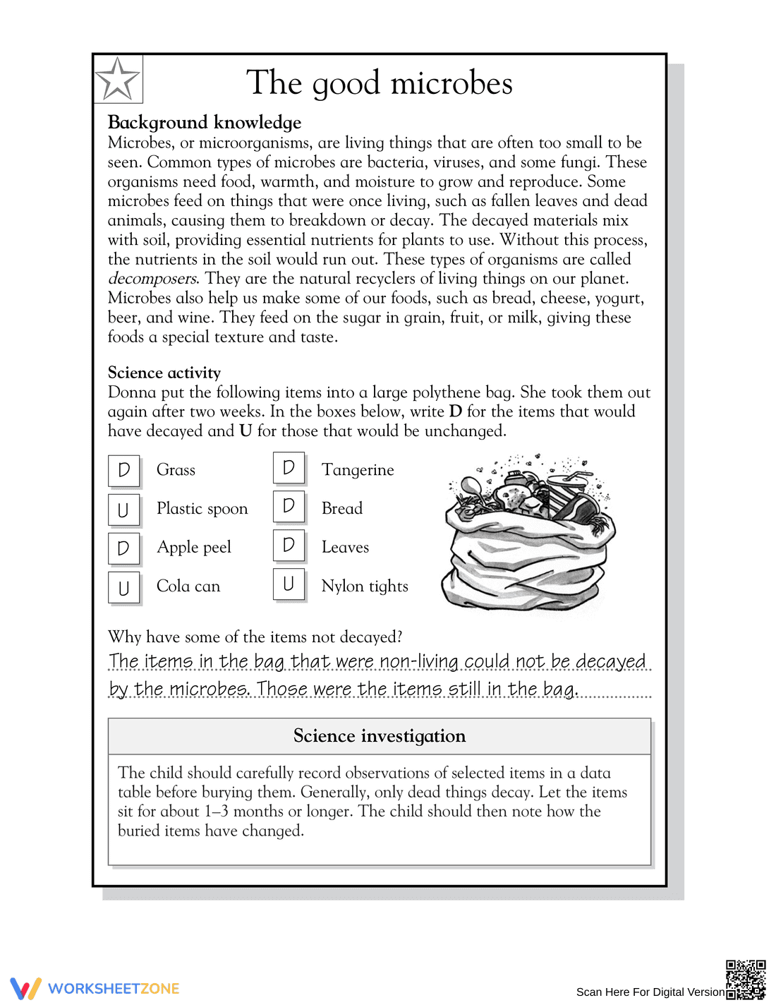 Essential Decomposers Worksheet | Grade 5 Science - Page 2