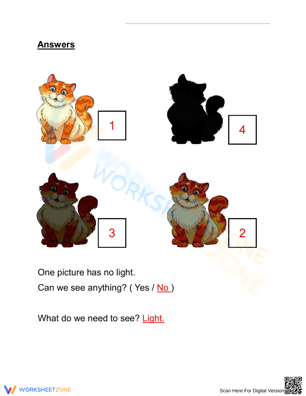 Grade 1 Science: Light — Printable No-Prep Worksheet - Page 2