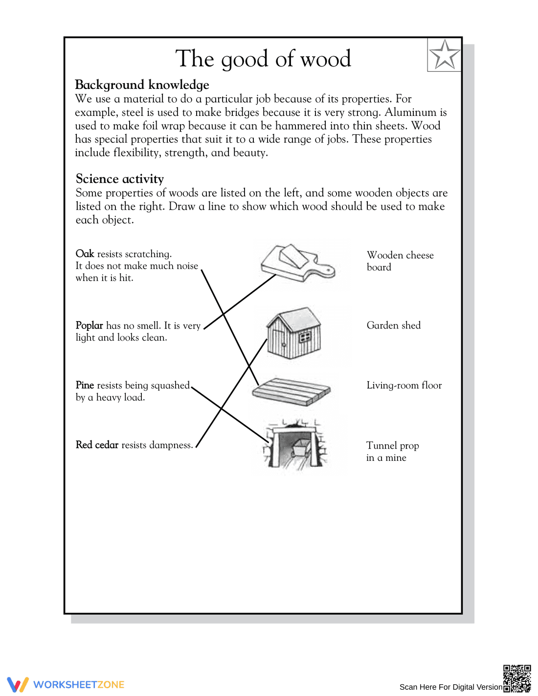 Essential Wood Properties Worksheet | Grade 3 Science - Page 2
