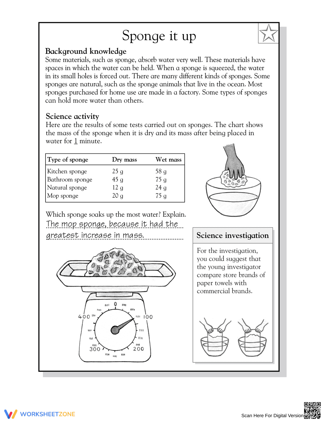Essential Grade 3 Science Worksheet: Absorption and Sponges - Page 2