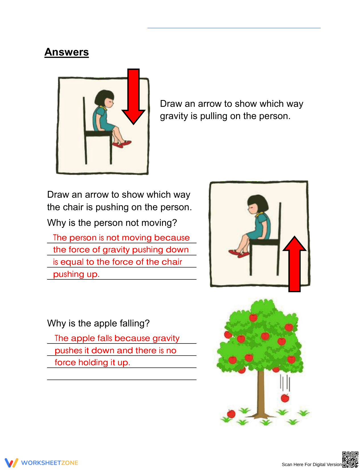 Understanding Gravity – Science Worksheet for Grade 3 - Page 2