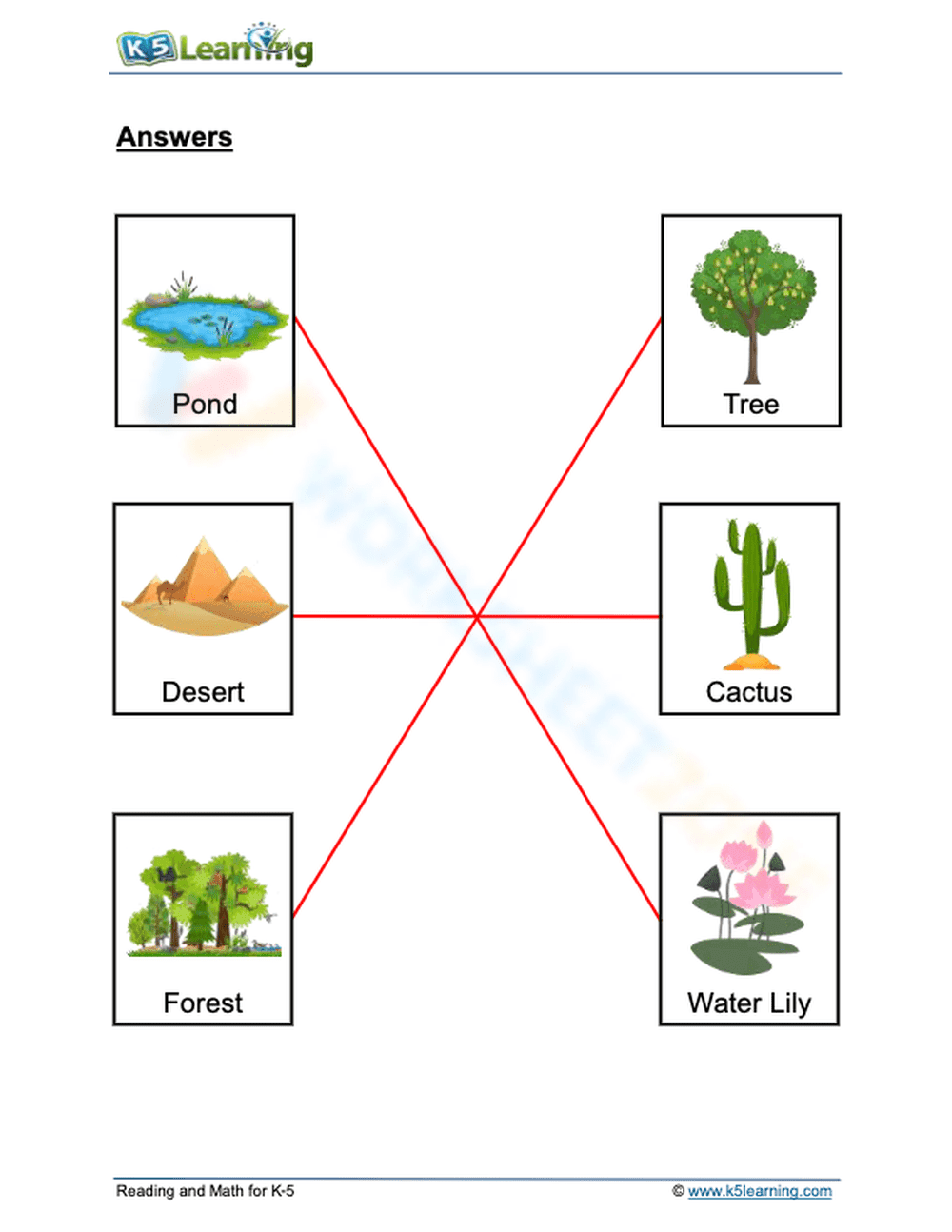 Essential Plant Habitats Worksheet | Grade 1 Science - Page 2
