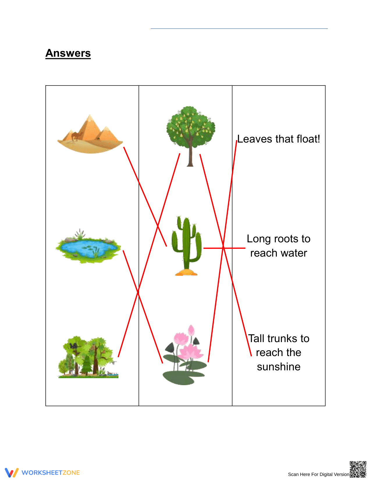 Printable Plant Habitats and Adaptations Worksheet | Grade 2 - Page 2