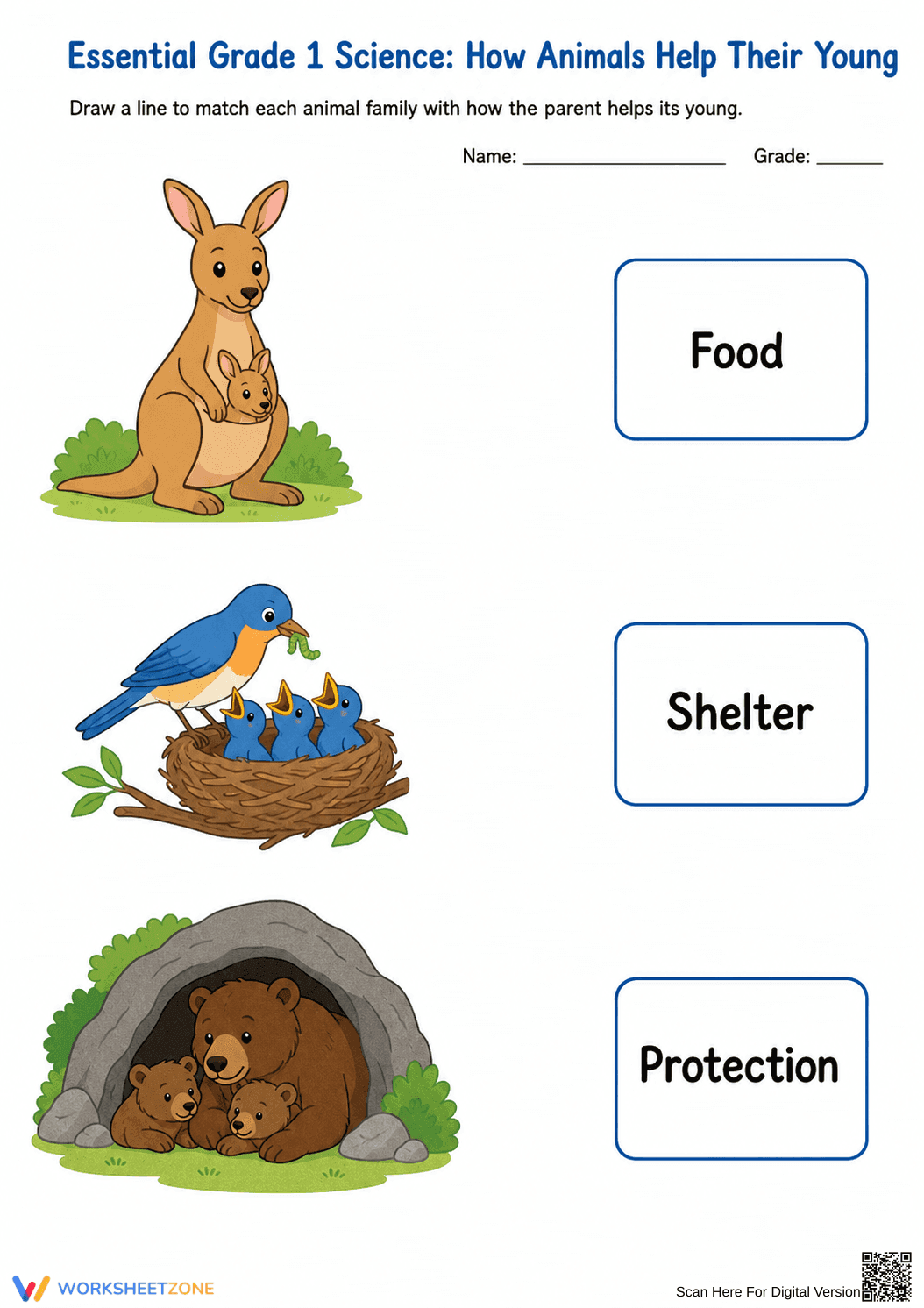 Essential Grade 1 Science: How Animals Help Their Young - Page 2