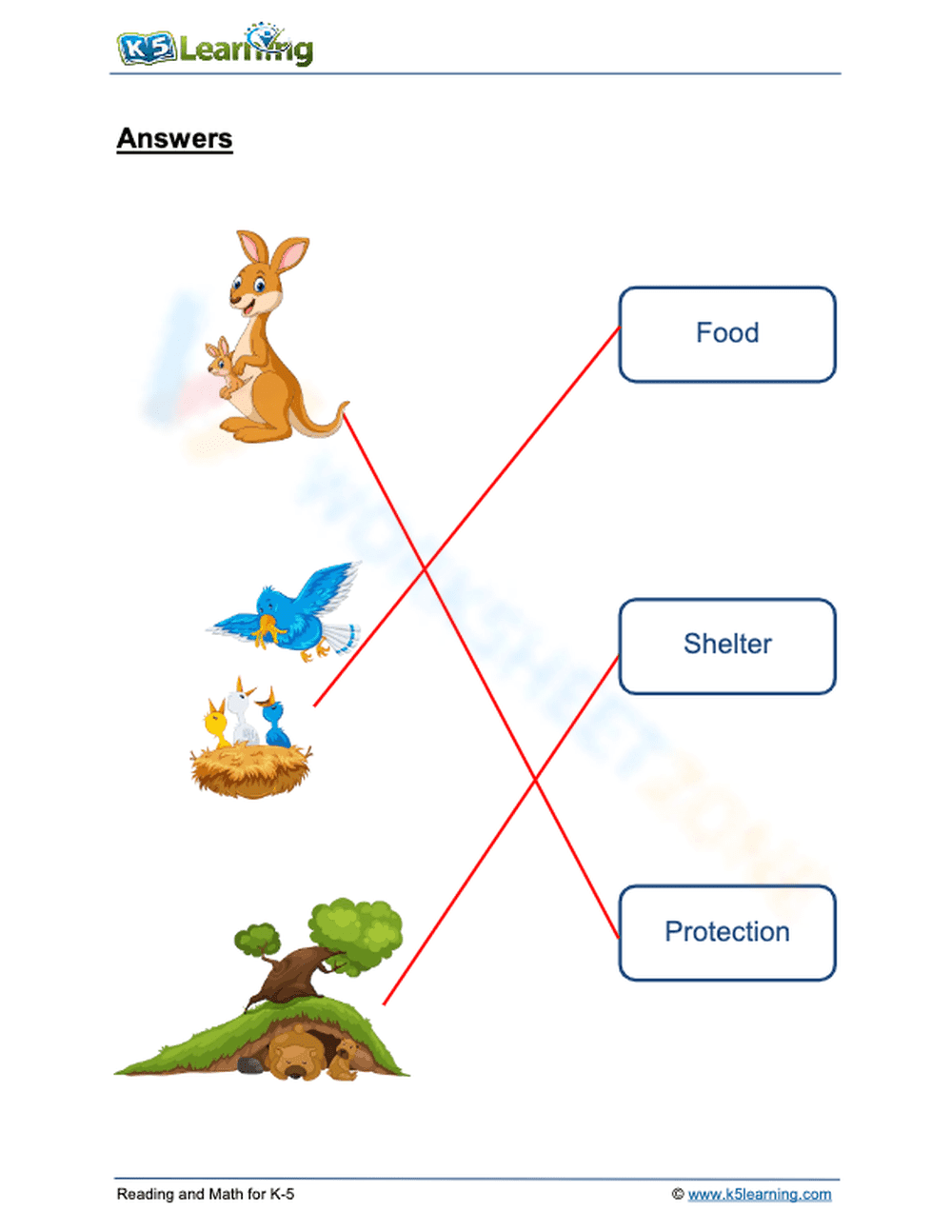Essential Grade 1 Science: How Animals Help Their Young - Page 2