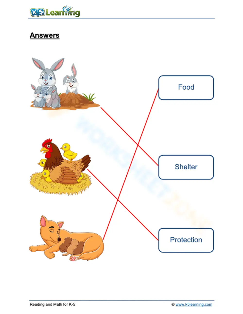 Essential Grade 1 Science: How Animals Help Their Young - Page 2